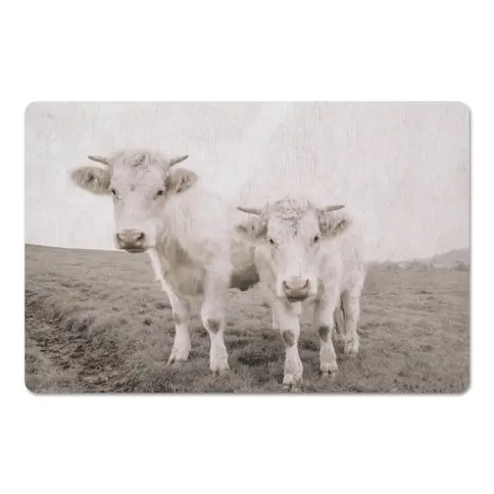 18" x 27" Whitewashed Cow Photograph Floor Mat {1}