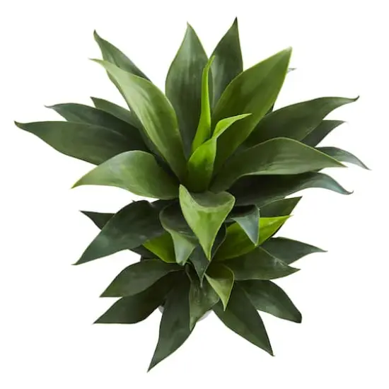 2.4ft. Potted Double Agave Succulent Artificial Plant  {4}