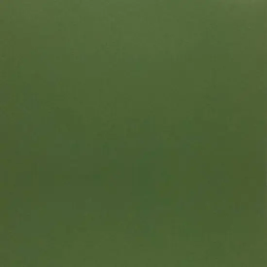 PA Paper&trade; Accents 12" x 12" 65lb. Cardstock, 25 Sheets Parrot {1}