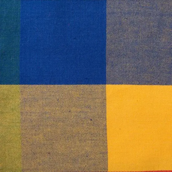 DII&reg; Summer Check Napkin, 4ct. {4}