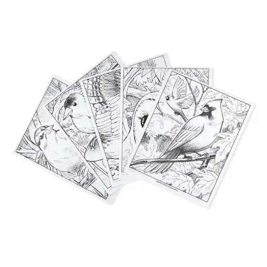 Crayola&reg; Bird Watching Coloring Book {4}