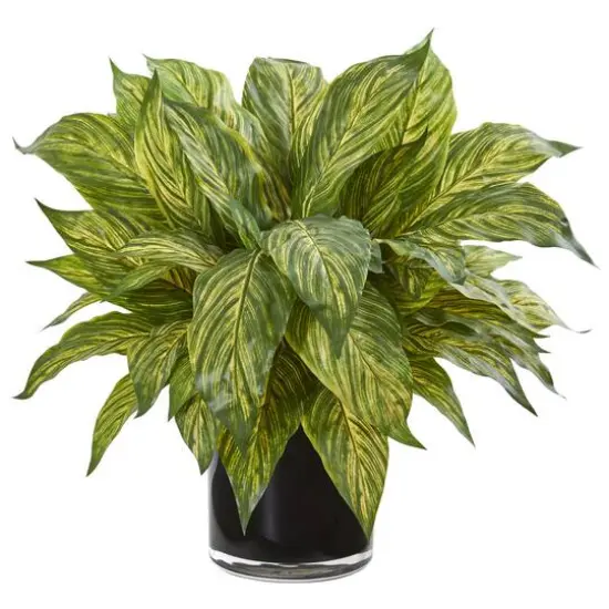 17" Musa Leaf Artificial Plant in Glossy Black Vase {1}