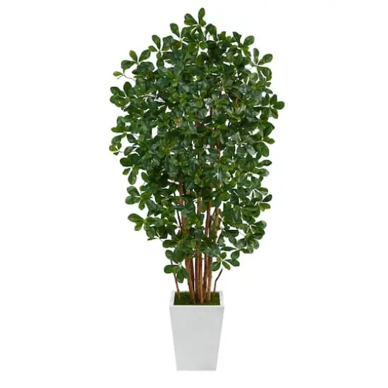 5.5ft. Black Olive Artificial Tree with 1365 Bendable Leaves in Metal White Planter {1}