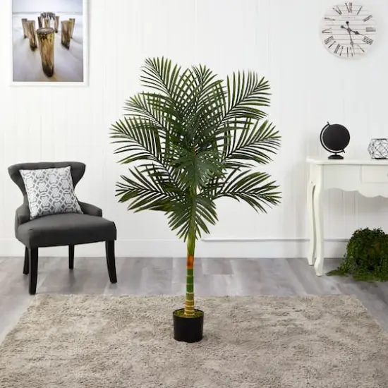 5ft. Potted Golden Cane Palm Tree {4}