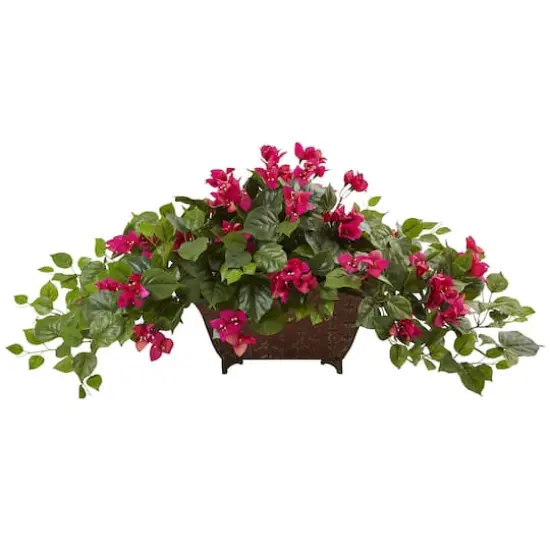 Bougainvillea in Metal Planter {1}