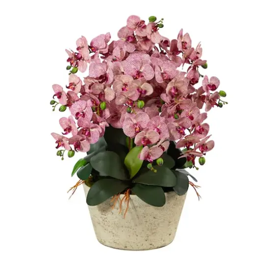 3ft. Moth Orchid Arrangement in White Vase {1}