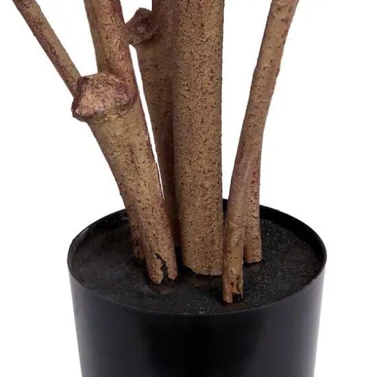 7ft. Potted Green Rubber Tree {6}