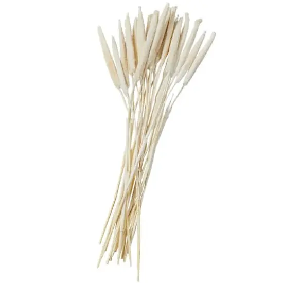 Dried Plant Bunny Tail Natural Foliage with Long Stems White {5}