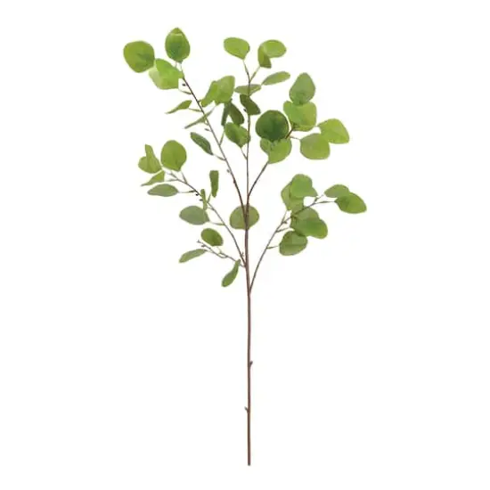 Eucalyptus Leaf Spray  {1}