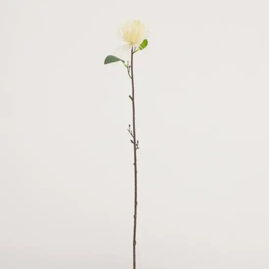 24in. Artificial Pincushion Protea Flower Stem - Set of 4 {8}