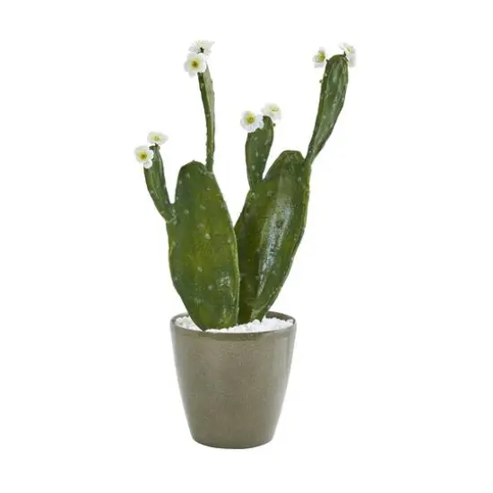 2ft. Flowering Cactus in Green Planter {1}