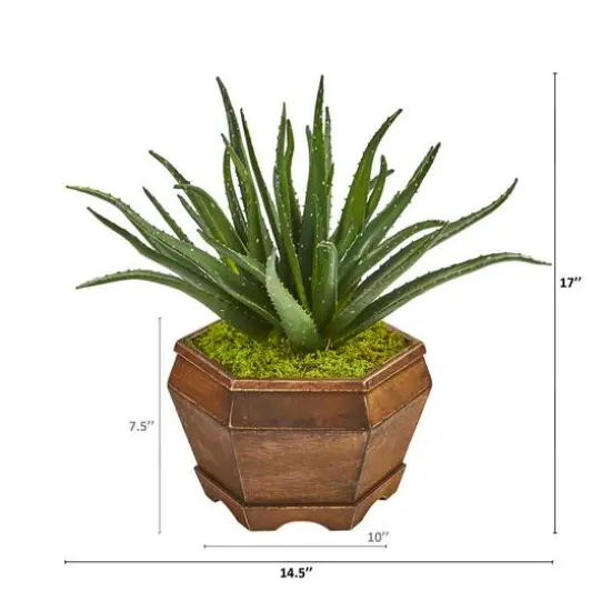 17" Aloe Artificial Plant in Decorative Planter {3}