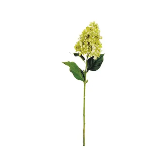 Lime Cone Hydrangea Spray {1}