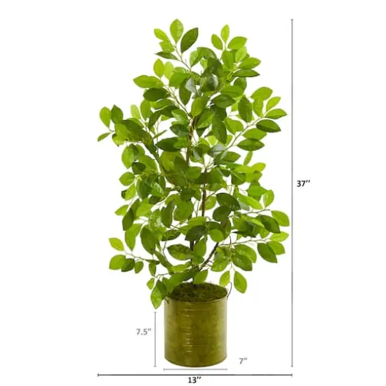 3ft. Ficus Tree in Green Planter {3}