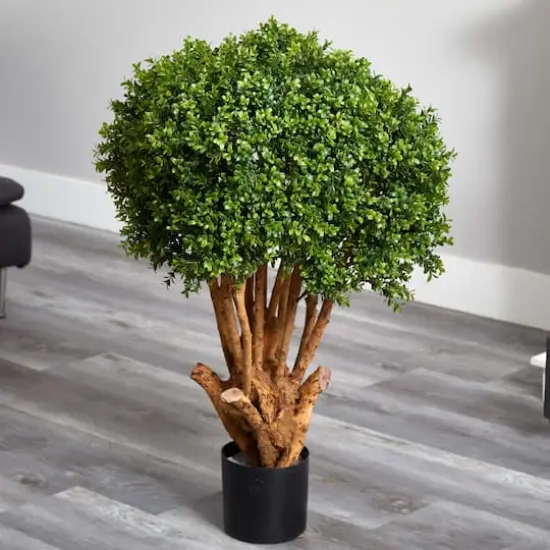 3ft. Potted Boxwood Topiary Tree  {6}