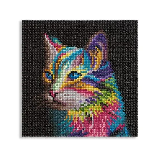 Rainbow Cat Painting Diamond Art by Make Market&reg; {1}