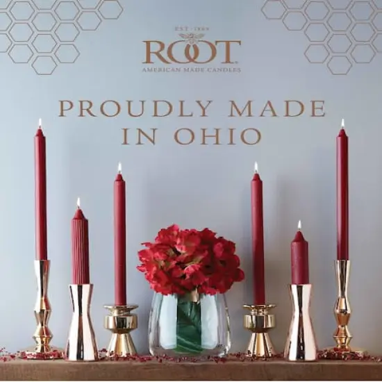 Root Candles 9" Unscented Grecian Collenette Taper Candles, 4ct. Garnet {5}