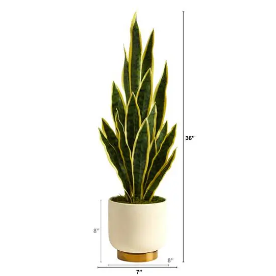3ft. Snake Plant in Cream Planter with Gold Base {3}