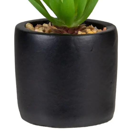 7" Green Sword Grass in Black Pot {4}