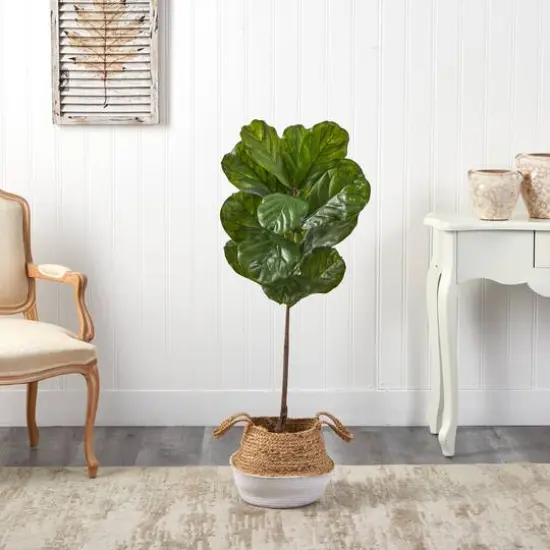 4ft. Fiddle Leaf Artificial Tree in Boho Chic Handmade Cotton & Jute White Woven Planter UV Resistant (Indoor/Outdoor) {4}