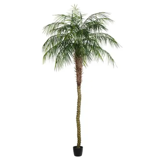 9ft. Potted Phoenix Palm Tree {1}