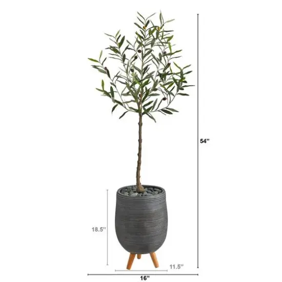 4.5ft. Olive Tree in Gray Planter with Stand {3}