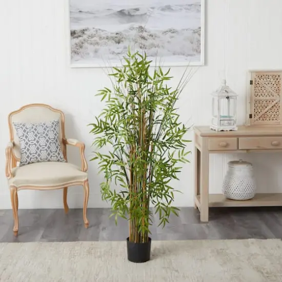 5ft. Potted Bamboo Grass Plant {4}