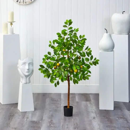 4ft. Potted Lemon Tree {4}