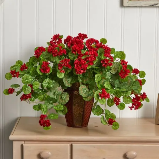 22'' Geranium with Decorative Planter {4}