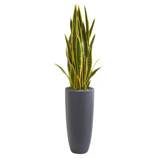 4.5ft. Sansevieria Plant in Gray Planter {1}