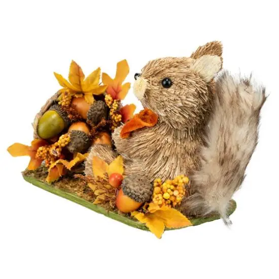 8" Squirrel with Acorn Basket Natural D&eacute;cor by Ashland&reg; {3}