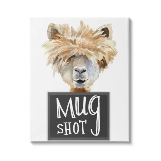 Stupell Industries Fluffy Hair Alpaca Animal Mugshot Funny Portrait Canvas Wall Art {2}