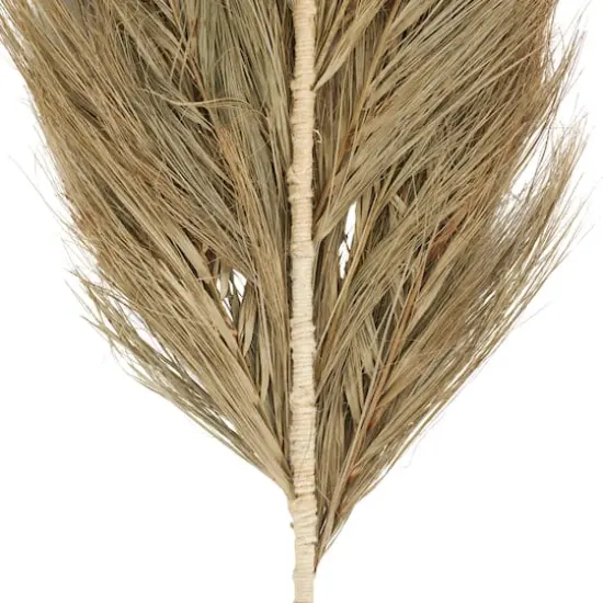 Brown Plant Palm Leaf Stem {3}