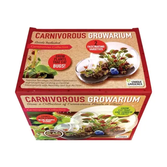 Double Sphere Glass Terrarium - Carnivorous Growarium {3}