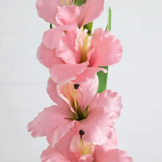 45" Pink Gladiolus Flower Stems, 3ct. {4}