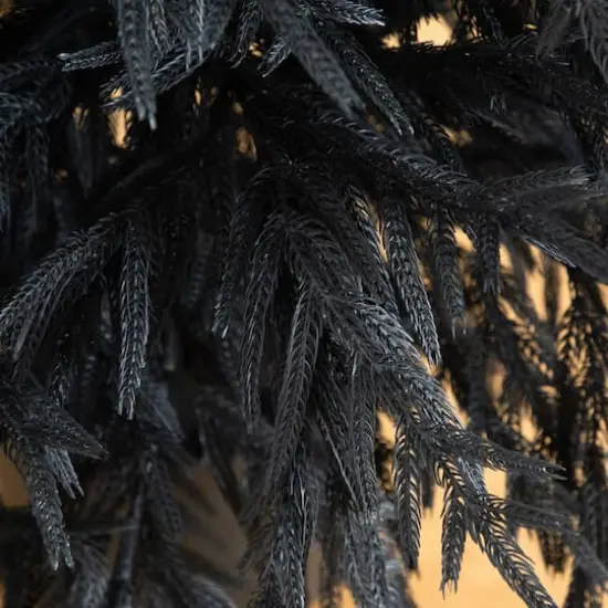 6ft. Artificial Halloween Real Touch Black Norfolk Pine Christmas Tree with Natural Look {4}