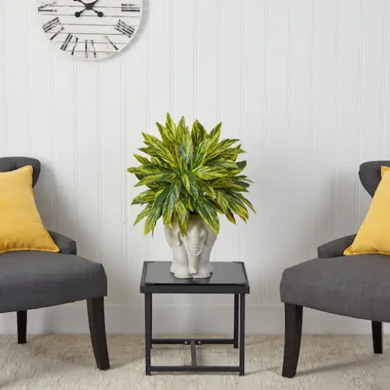 25" Spiderwort Plant in White Elephant Shaped Planter {5}