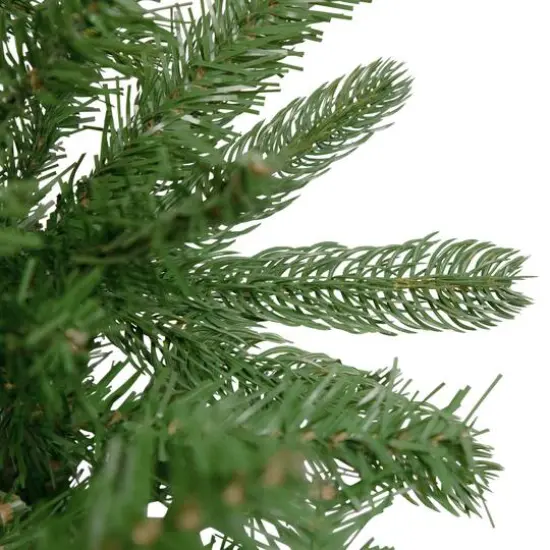 4ft. Unlit Full Sierra Noble Fir Artificial Christmas Tree {3}
