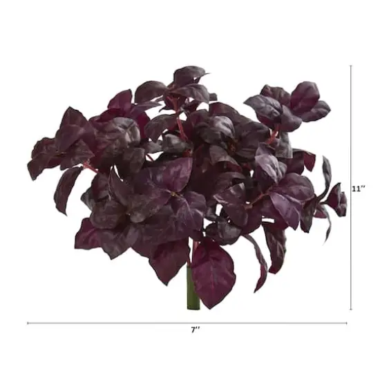 Burgundy Basil Bush, 6ct. {3}