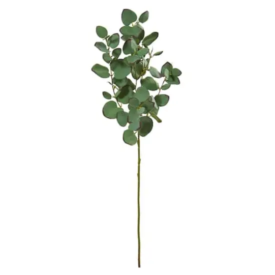 Green Eucalyptus Branch, 6ct. {1}
