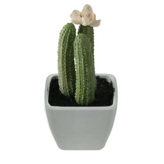 4.25" Faux Columnar Cactus In White Pot {1}