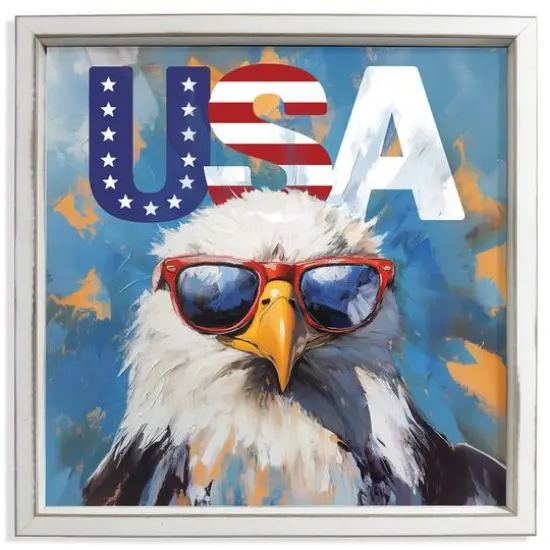16" x 16" Patriotic Bald Eagle Framed Print White Frame {1}
