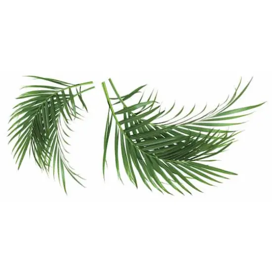 RoomMates Palm Leaf Peel & Stick Giant Wall Decals {3}