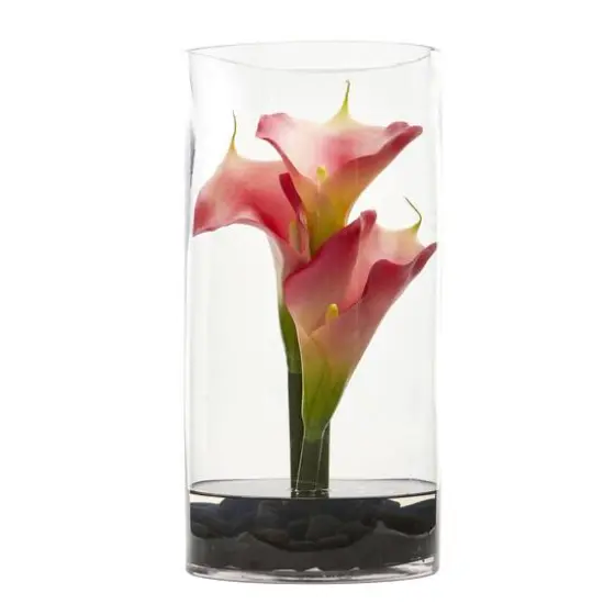 12" Pink Calla Lily Arrangement in Cylinder Glass Vase {1}