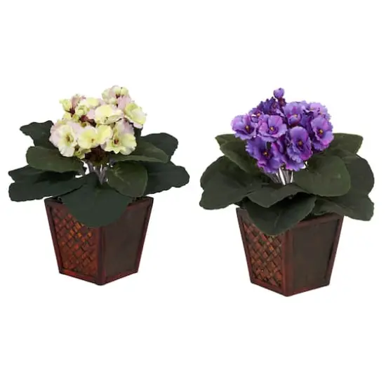 10" African Violet In Planter Set {1}