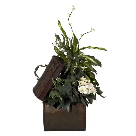 20" African Violet, Dumb Cane & Ivy in Decorative Chest {3}
