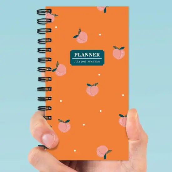 TF Publishing 2023 - 2024 Peaches Small Weekly Monthly Planner {7}