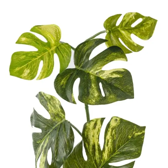 Split Hanging Philo Bush by Ashland&reg; {4}