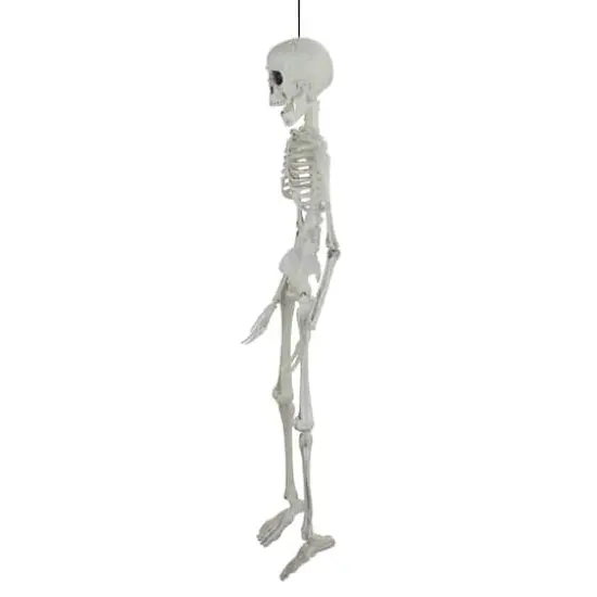 20" Jointed Skeleton Hanging Halloween Decoration {3}