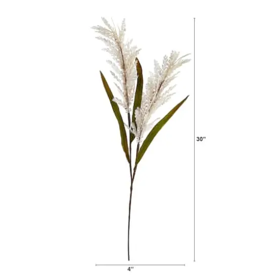30" Cream Sorghum Harvest Spray, 12ct. {3}
